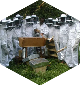 Beekeeping Service 3